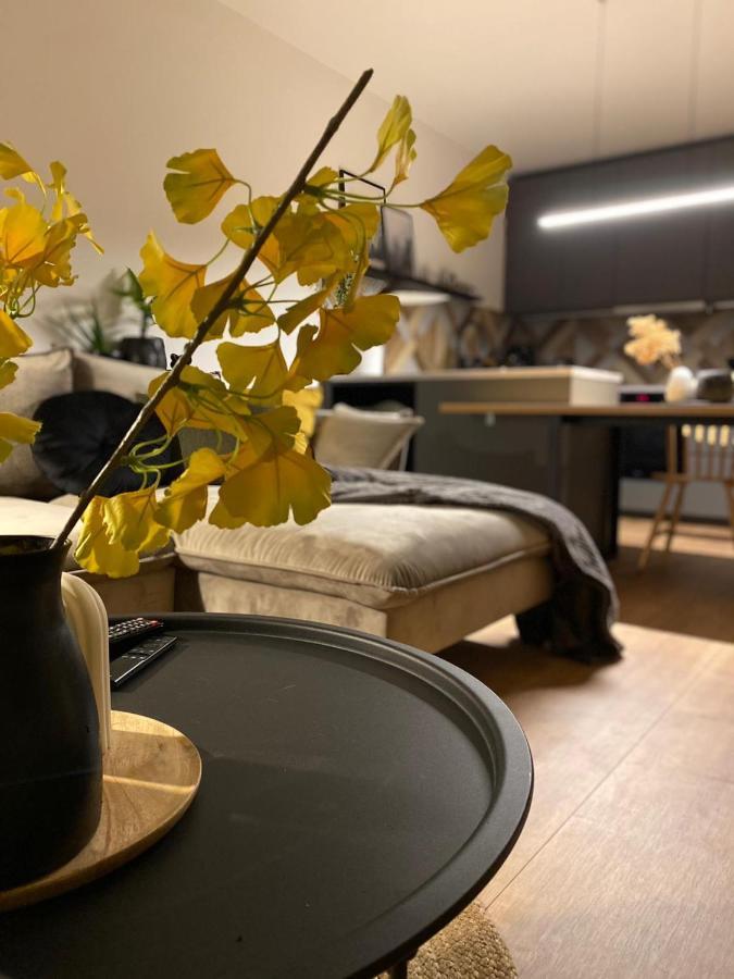 Boosko Me 2 Appartement Busko-Zdrój Buitenkant foto